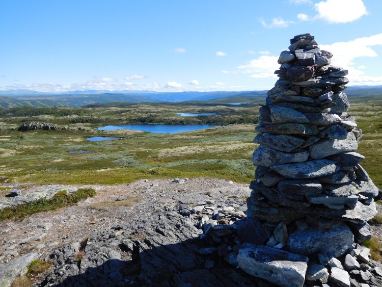 Wildkamperen Hardangervidda foto 2